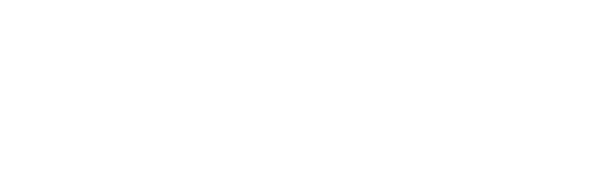 DropZone5 ®